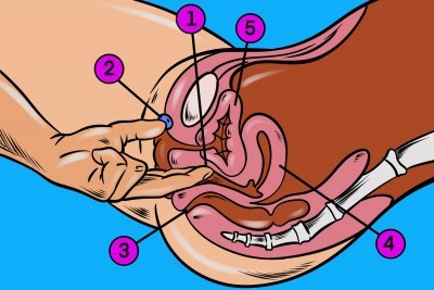 Ako nájsť bod G, G-spot, Ako stimulovať bod G