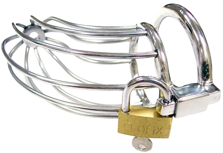 ROUGE Stainless Steel Chasity Cock Cage with Padlock