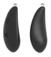 Remote Control Fantasy Panty