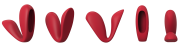 The LOVE Collection – Súprava pre páry 4 v 1 s diaľkovým ovládaním