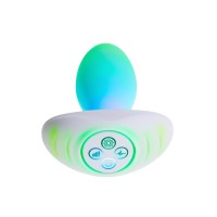 Paradise Pleasure - Illumination The Plug