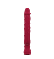 Párový vibrátor Double Flow (26 cm)