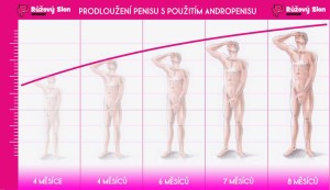 Andropenis Extender GOLD