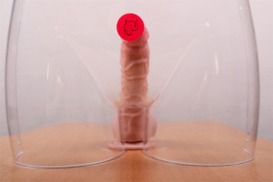 Silikónové dildo s prísavkou a semenníkmi (20cm) - v torze